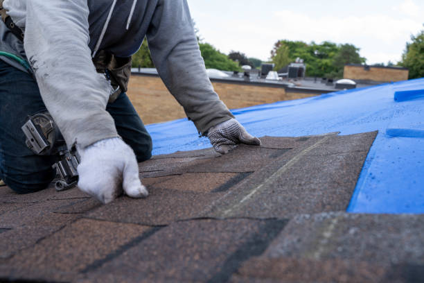 Best Storm Damage Roof Repair  in Clive, IA