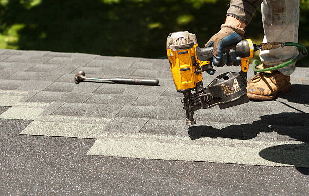 Roof Gutter Cleaning in Clive, IA